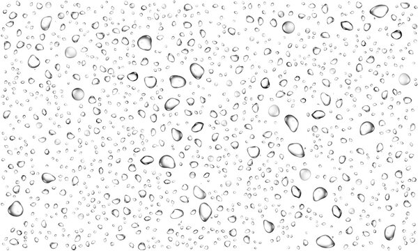 Realistic transparent water drops on transparent background liquid water-drop top view glass plate sprinkle, spritz effect, wet spray droplet, dripped, bubble splash on leaf surface overlay window
