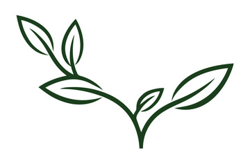 Elegant tea plant leaves vector illustration natural organic healthy drink ingredient symbol