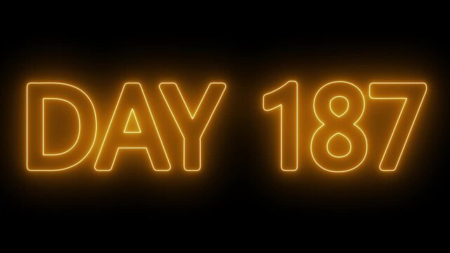 Neon text day 187 animation on black background. flickering neon inscription DAY 187. calendar counter concept