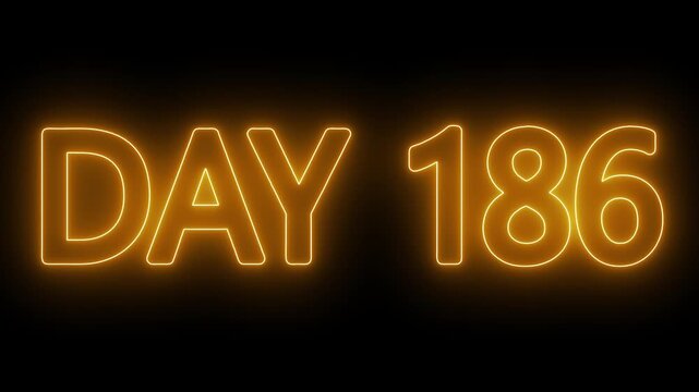 Neon text day 186 animation on black background. flickering neon inscription DAY 186. calendar counter concept