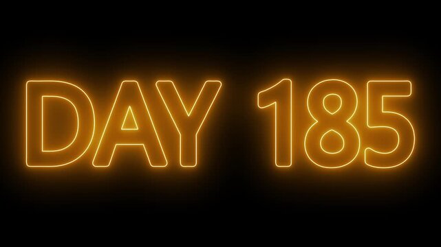 Neon text day 185 animation on black background. flickering neon inscription DAY 185. calendar counter concept