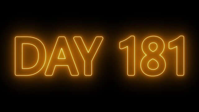 Neon text day 181 animation on black background. flickering neon inscription DAY 181. calendar counter concept