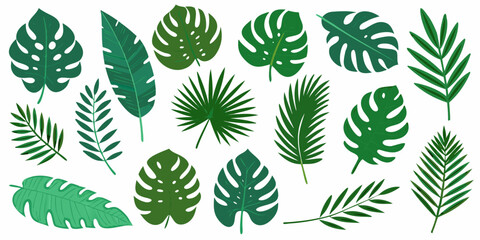 Collection of vibrant green tropical leaves arranged on a white background © Pabitra