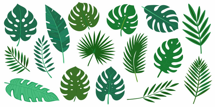 Collection of vibrant green tropical leaves arranged on a white background
