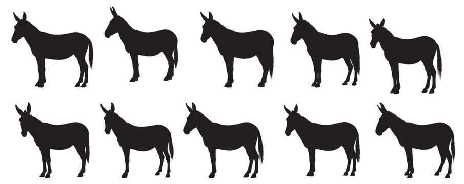 mule silhouette white background