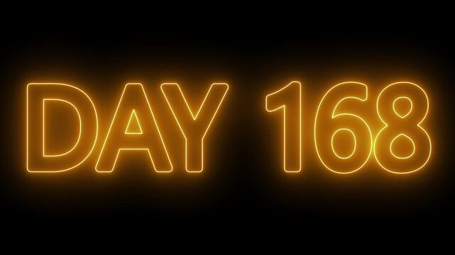Neon text day 168 animation on black background. flickering neon inscription DAY 168. calendar counter concept