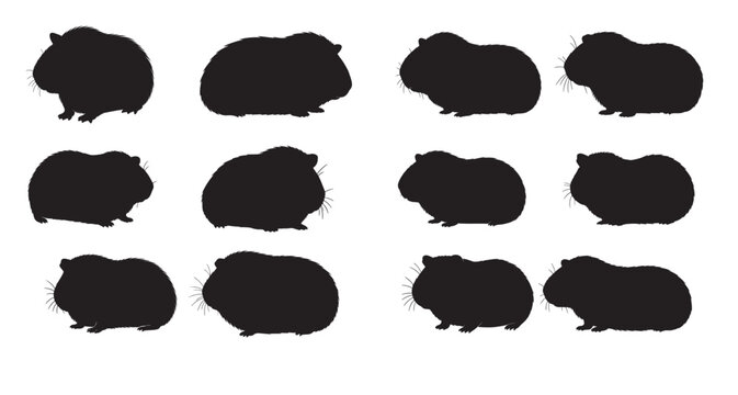 guinea pig silhouette white background