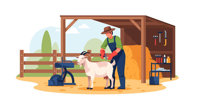 Farmer grooming a goat on a farm.