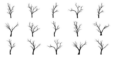 Collection of delicate bare branches against a white background