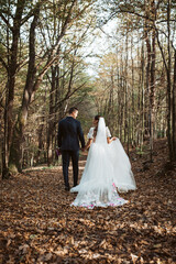 Fototapeta premium Rear view of bride and an groom in nature, surrounded by a forest.