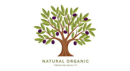 Obraz premium A vibrant olive branch with dark olives and green leaves styled as a silhouette on transparent background high quality professional detailed