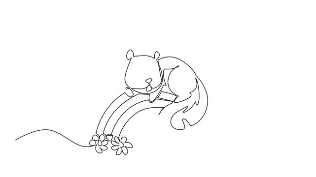 Animation of continuous line drawing adorable squirrel laying down on a floral rainbow, holding onto the arch with its bushy tail visible. Nature concept for cute woodland animals. Full length motion