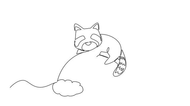 Animated self drawing of one line drawing of lovable raccoon napping on a rainbow arc resting between two soft, white clouds. Nature concept for cute woodland animal. Full length single line animation