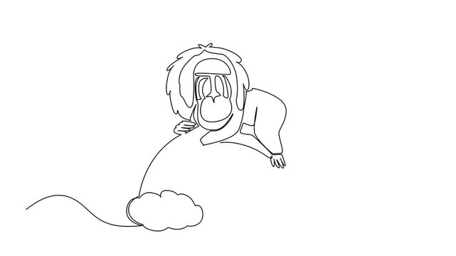 Self drawing animation of continuous line drawing of mandrill primate resting its head on a rainbow arch positioned between two soft clouds. Nature concept for cute wild animal. Full length animated