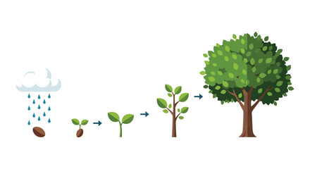 Obraz premium A visual depiction of a seed sprouting and growing into a mature tree showcasing life s cycle on transparent background silhouette