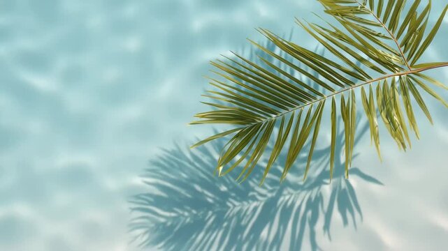 Sunlight filtering through crystal clear water with a green palm leaf casting a soft shadow on the sandy bottom