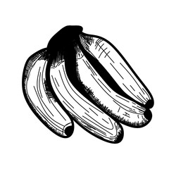 hand drawn bananas