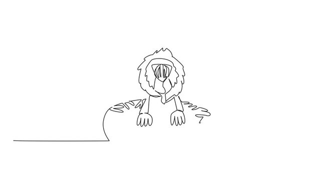 Self drawing animation of continuous line drawing of strong mandrill shows cute animal sitting inside sweet donut for pastry food concept. Kids storybook cover in minimalist art. Full length animated