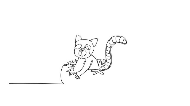 Animation of single line drawing of lemur shows cute animal sitting inside sweet donut for pastry food concept. Unique design features stripped tail primate for kids wall decor. Full length motion
