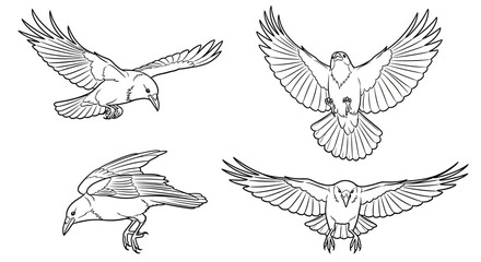Fototapeta premium Four birds illustrated in different flying positions on a white background canvas