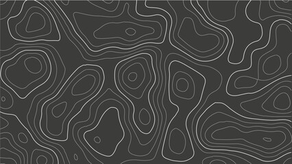 topography line map. Vector geographic contour map background.. Abstract topographic contours map background. Vintage outdoors style.Geographic abstract grid. EPS 10 vector illustration. © MSROKSANA
