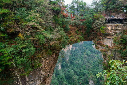 Natural sandstone rock arch forming a dramatic stone bridge above forested gorge in Zhangjiajie National Forest Park, Hunan, China. Travel and tourism landmark in Asia