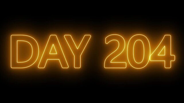 Neon text day 204 animation on black background. flickering neon inscription DAY 204. calendar counter concept