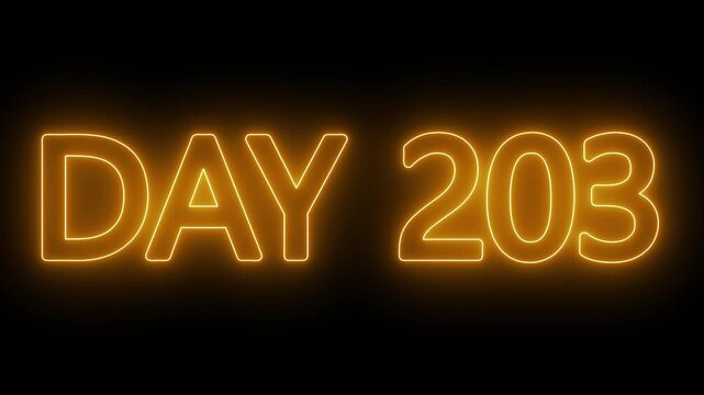 Neon text day 203 animation on black background. flickering neon inscription DAY 203. calendar counter concept