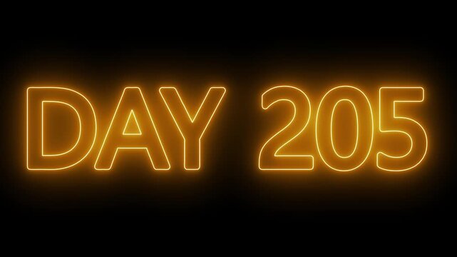 Neon text day 205 animation on black background. flickering neon inscription DAY 205. calendar counter concept