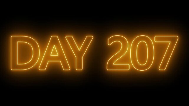 Neon text day 207 animation on black background. flickering neon inscription DAY 207. calendar counter concept