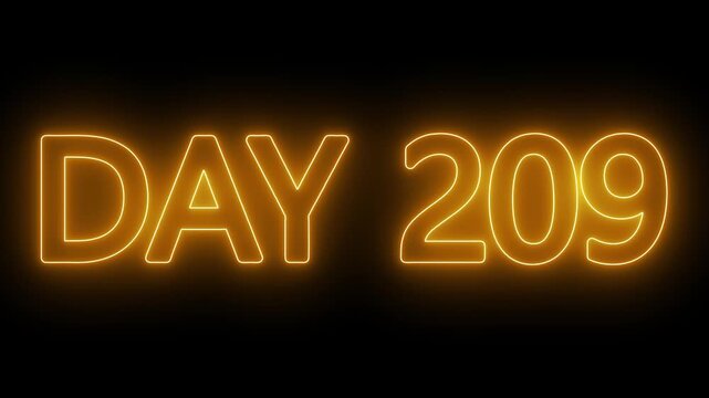 Neon text day 209 animation on black background. flickering neon inscription DAY 209. calendar counter concept