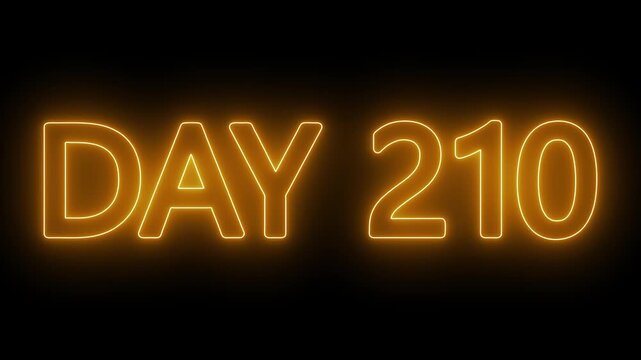 Neon text day 210 animation on black background. flickering neon inscription DAY 210. calendar counter concept
