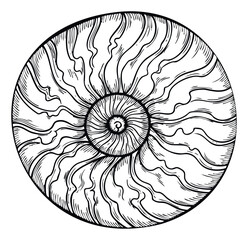 Obraz premium Intricate spiral graphic resembling a nautilus shell or abstract flower, rendered in a bold black and white line style, ideal for print materials, branding, or decorative applications.