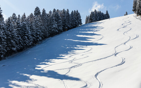 Ski tracks curve gracefully down a snowy slope, Fresh powder shows distinct trail of ski marks from backcountry freeride.