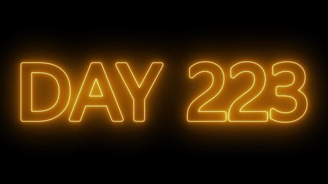 Animated glowing flickering neon inscription DAY 223. Day 223 neon text animation, calendar counter concept on black background