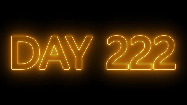 Animated glowing flickering neon inscription DAY 222. Day 222 neon text animation, calendar counter concept on black background