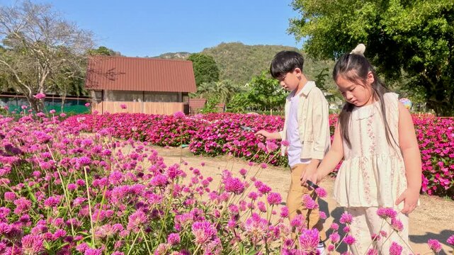 Children Exploring a Vibrant Pink Flower Garden on a Sunny Day