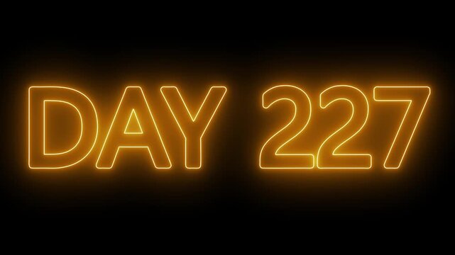 Animated glowing flickering neon inscription DAY 227. Day 227 neon text animation, calendar counter concept on black background
