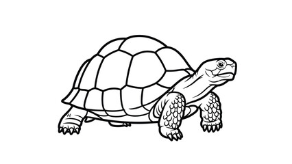 Detailed black and white line art drawing of a tortoise or land turtle with a patterned shell on a white background.