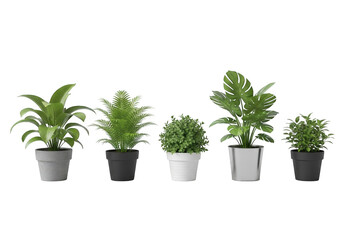Obraz premium Five potted green plants with different leaf shapes on a transparent background