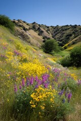 Obraz premium Vibrant wildflowers in bloom on a serene hillside under clear blue skies