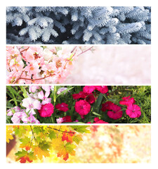 Four season of year. Set of horizontal nature banners. Each one features scene of nature, from the gentle snowfall of winter to the vibrant leaves of summer. Perfect for showcasing changing seasons