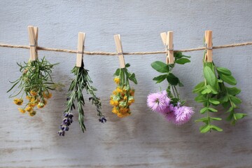 Colorful fresh herbs and flowers hanging on a clothesline