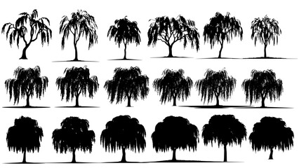 Elegant vector set of black willow tree silhouettes with flowing branches and natural shapes, perfect for landscape designs, nature themes, and minimalist creative projects. © Faizan Stock