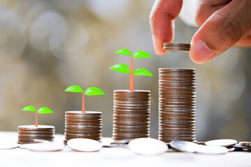 Man's hand put money coins to stack of coins with Tree growing on pile of coins money, Money growing concept.