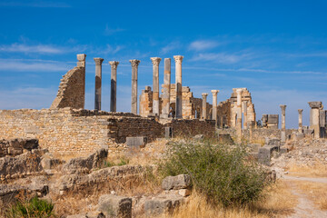 Fototapeta premium Volubilis, Morocco