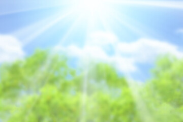 ぼけた緑のバックグラウンド