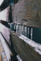 古い木柵の雪囲いに垂れ下がるつららと冬の情景 / Icicles hanging from old wooden fence boards in winter