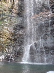 waterfall in the forest
箕面の滝
MINO