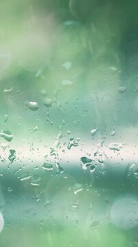 しとしと降る雨と窓ガラスの水滴　緑の森と梅雨の情緒